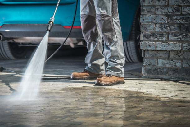 Best Winterizing Services  in Palmyra, MO